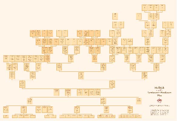 genealogie designed by ateliers philipp kreidl photo graphik design