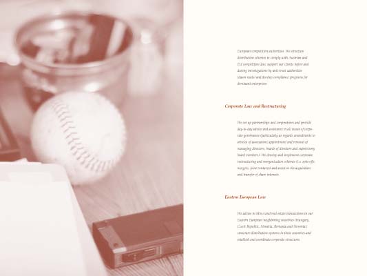 Graf Maxl & Pitkowitz - Attorneys at law - brochure designed by ateliers philipp kreidl photo graphik design