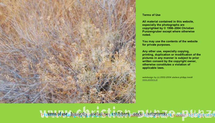 website christian punzengruber - artist designed by ateliers philipp kreidl photo graphik design
