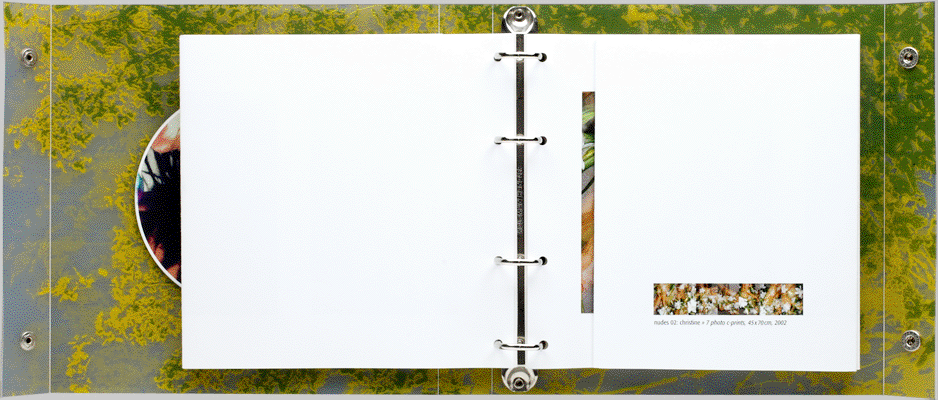 Christian Punzengruber - artist's portfolio - expandable designed by ateliers philipp kreidl photo graphik design