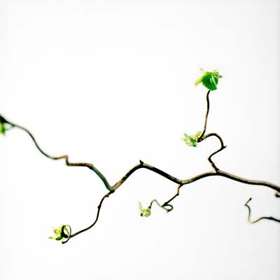 spring photography c Philipp Kreidl