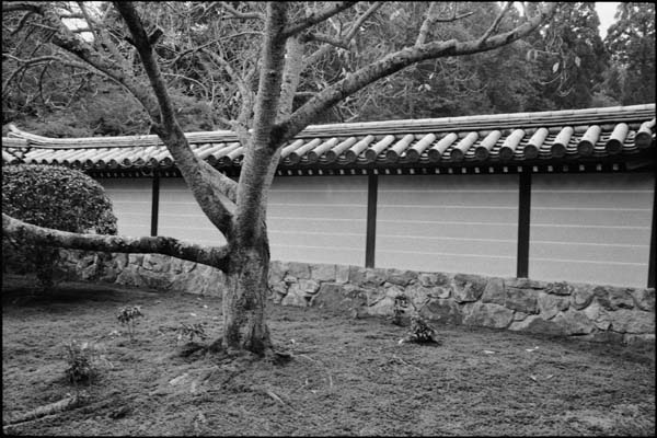 Japan photography c Philipp Kreidl