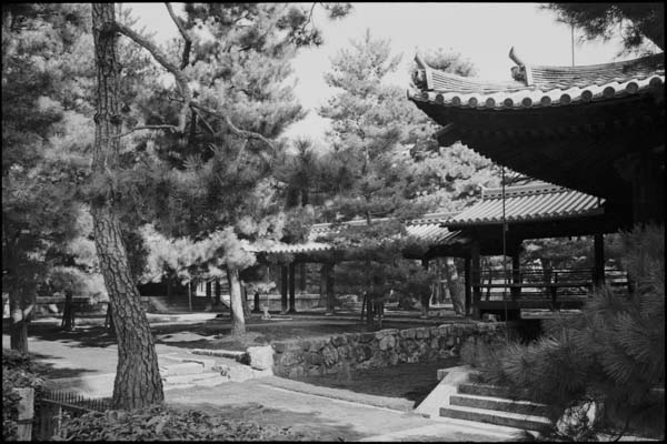 Japan photography c Philipp Kreidl