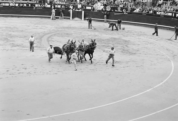Spain photography c Philipp Kreidl